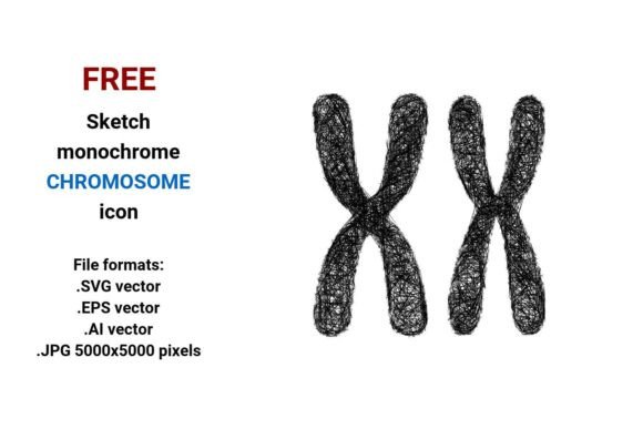 Free Sketch Chromosome Icon